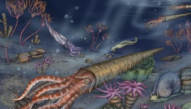 北极|全球变暖恶果显现，北极冰川迅速融化，我们能重新冻结北极吗？