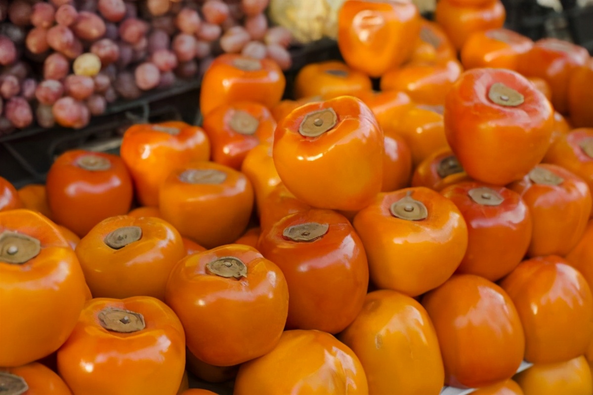 漫说健康|乱吃柿子会要命？提醒：关于柿子的“禁忌”，有一类人的确要小心