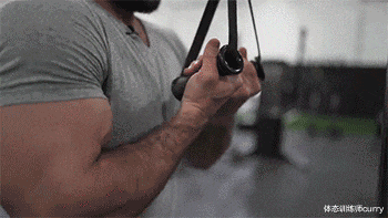 肱三头肌|4个必练「肱三头」动作,打造男友力爆棚的麒麟臂!