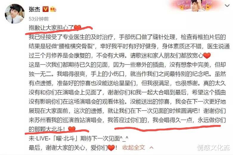 情感文化流 张杰腰椎骨裂满手鲜血直流，主办方道歉，网友：罪有应得！