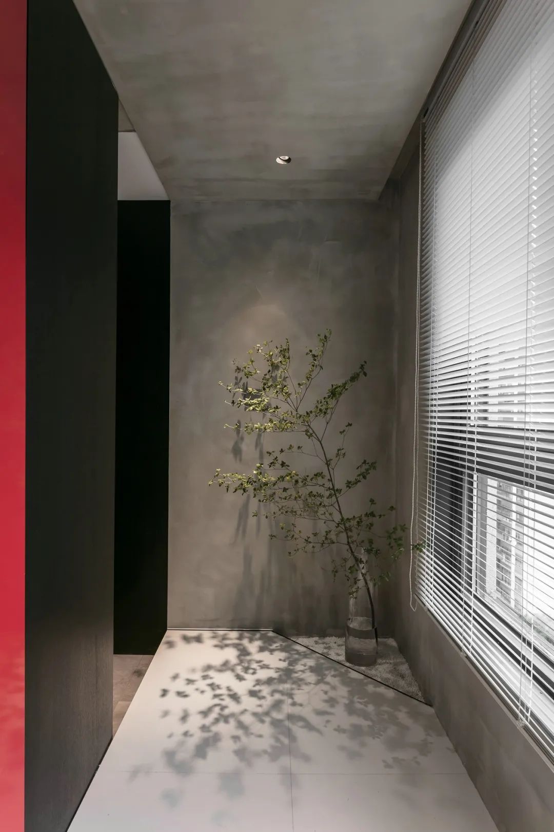 小花园+迂回动线，这个65m2黑白灰空间，越看越高级！