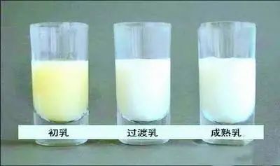 催乳师罗玉|辅食添加腹泻就停辅食？快看看你做的对不对