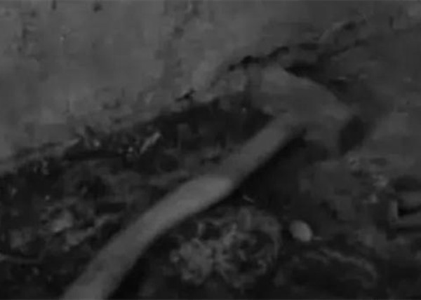 沉浮小记 亲弟弟锤杀姐姐一家，外甥女躲地下室逃过一劫，满门报复只因婆媳矛盾