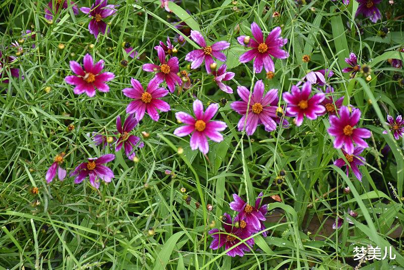 梦美儿|不要因为出轨,把自己活成孩子的罪人