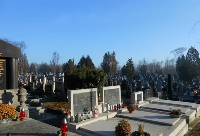 果莓妈咪说 又一“暴利”行业强势崛起，年薪30万是常态，老年人越多越赚钱