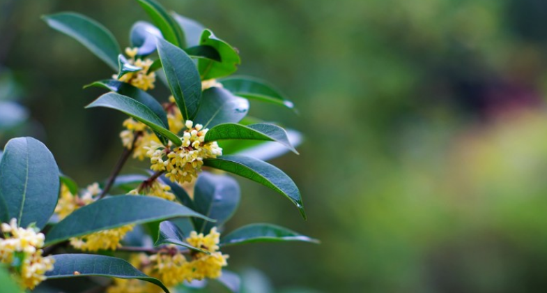 婚恋观|聊职场，35岁以上的女性慢慢地消失，应该怎样面对？