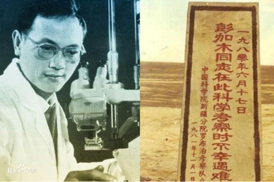 科学家 植物学家深入大漠,一心赴死还是另有隐情?黄沙之下有什么秘密?