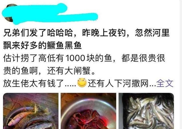 地下城堡3|鳜鱼、大闸蟹，江苏男子夜钓捞起许多“名贵水产”，价值上千