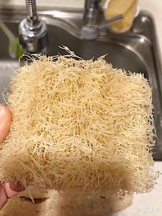 |5年家庭主妇经验，晒晒我最满意的清洁好物，让家里变得干净整洁