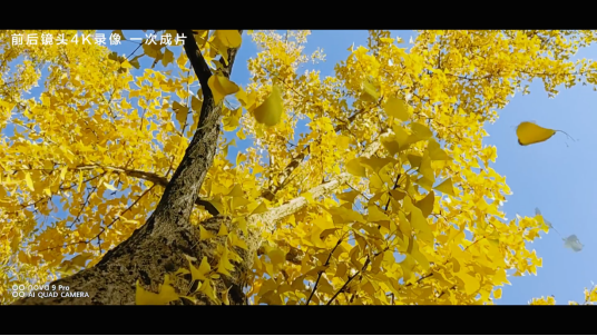 高通|如何拍出精彩的初冬Vlog？華為nova9系列的拍攝秘技，值得擁有