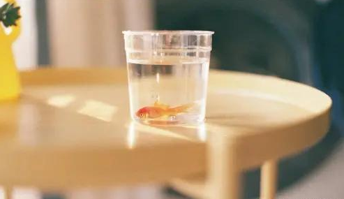 小海豚吖|大多数人,都没有办法,影响到这个星座的情绪,确实是高手