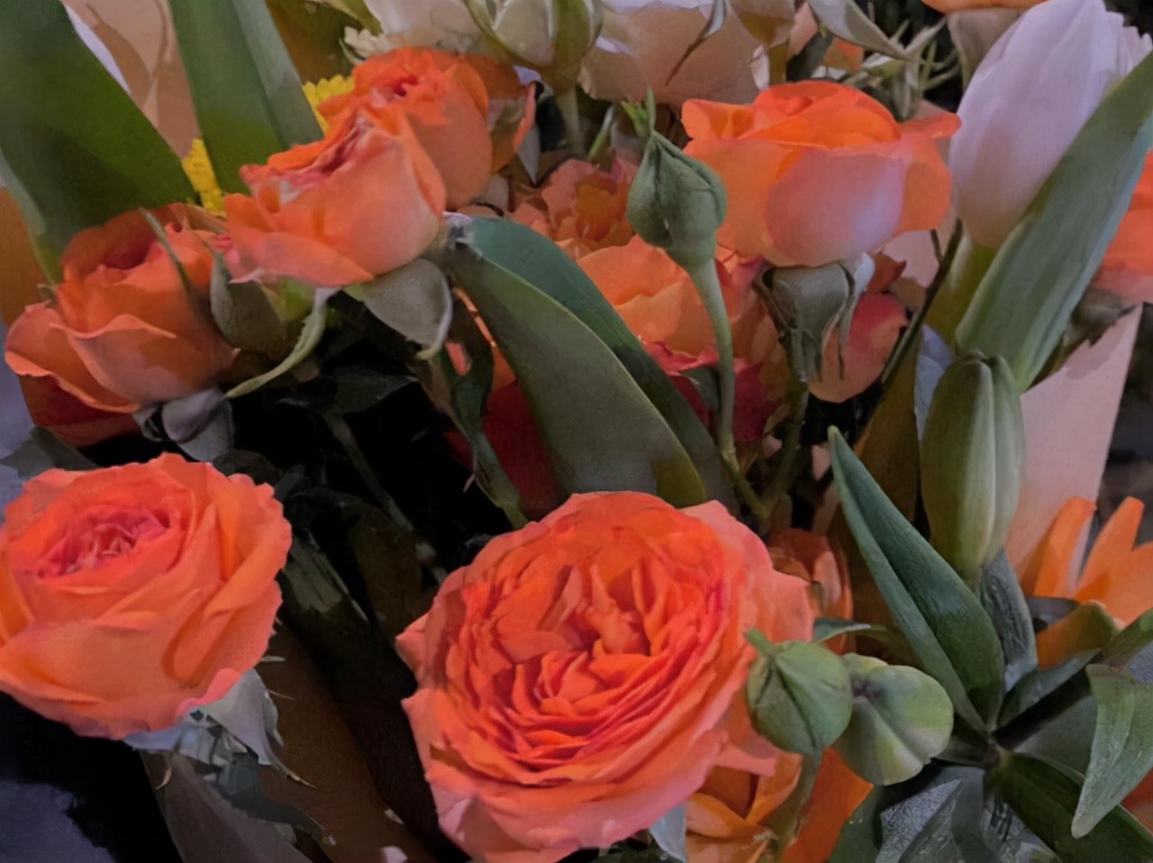 星座师安达 拿得起、放得下,不与傻瓜论长短的星座,不纠结自己的得失