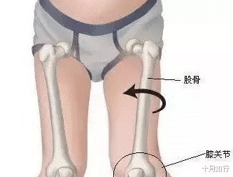 黄体酮|锻炼臀中肌，可以让臀部两侧形态更好看，但这只是其好处的一部分