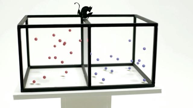 关于熵减理论：麦克斯韦妖再现江湖，熵减成真