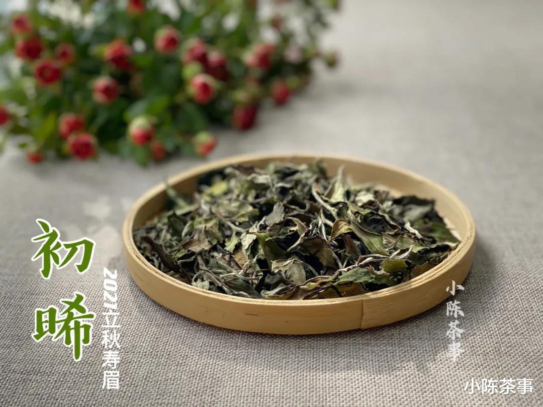 茶叶|白茶日光萎凋需要晒太阳，长期储存也是？定期拿出来晒晒可以吗？