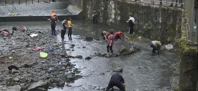 我的枕边书 贵阳一水库开闸冲出“鱼王”?当地居民:70斤的鲤鱼,一米多长