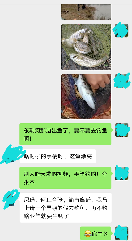 湖北|湖北一河道鳜鱼大爆发，有人半天钓了大半桶，为钓鱼请假一周