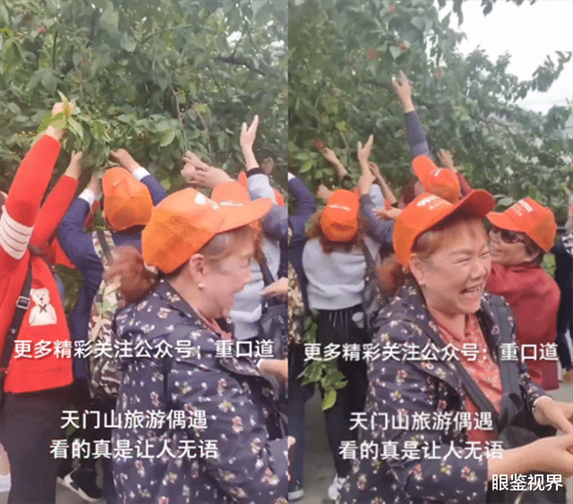 眼鉴视界 湖南一老年旅游团采摘景区樱桃，脸上喜笑颜开，围观者怒斥“强盗”