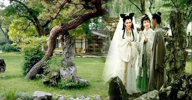 夏光莉|她出演白娘子大火，却因拒绝潜规则导致双脚残废，她如今怎样了？