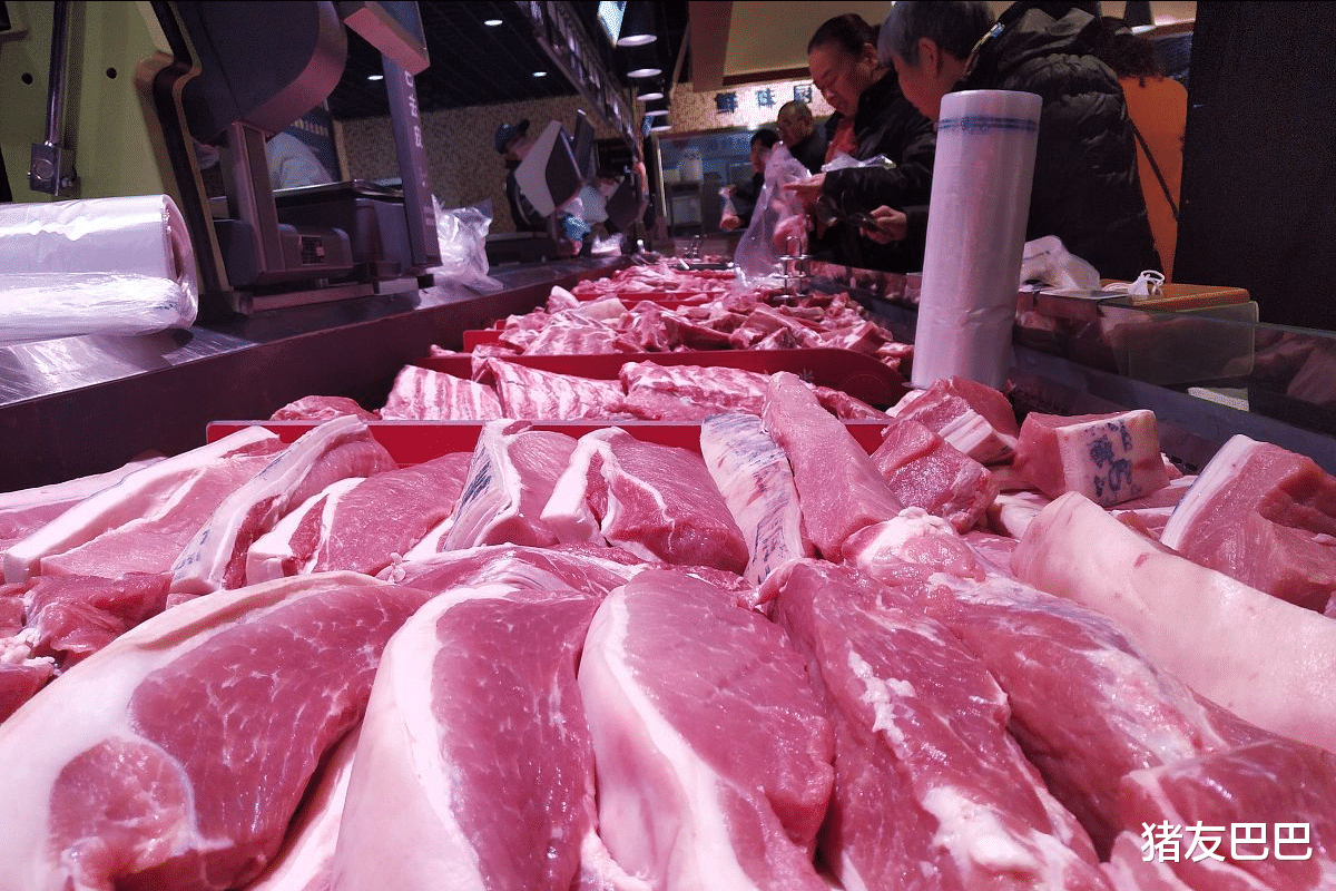 豬肉價格連降11周，豬價反撲大漲，肉價要漲回30元一斤？預測來瞭-圖7