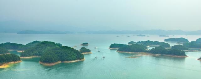 立冬|千岛湖百斤“青鱼王”频出，这些大鱼怎么生活的？活了多少年？