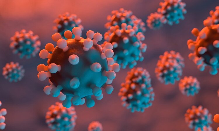 乳腺癌|姚贝娜查出乳腺癌时是早期，经过化疗已经痊愈，为何人还是没了？