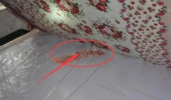 时尚舒适家|卧室里有这三样东西，一定要扔了，不然健康受损，事事不顺！
