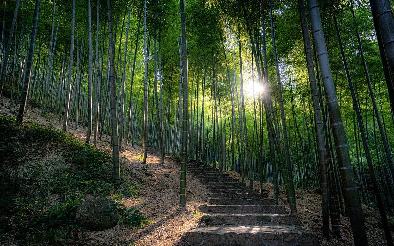 人民日报|和杨洋x热巴的小甜片一样上头的，还有这座太湖边的低调水乡...