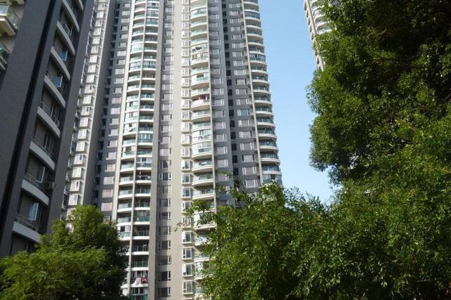 莱莱小影 河南一”心酸“烂尾楼,业主们自救却被”压垮“陷入循环漩涡