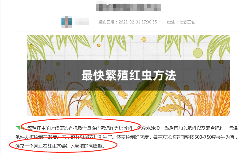 污泥|水蚤、红虫、线虫傻傻分不清楚，多多查证再描述，别再误导钓鱼人