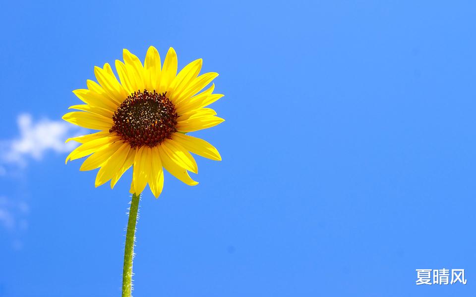 夏晴风|你什么习惯,就什么命