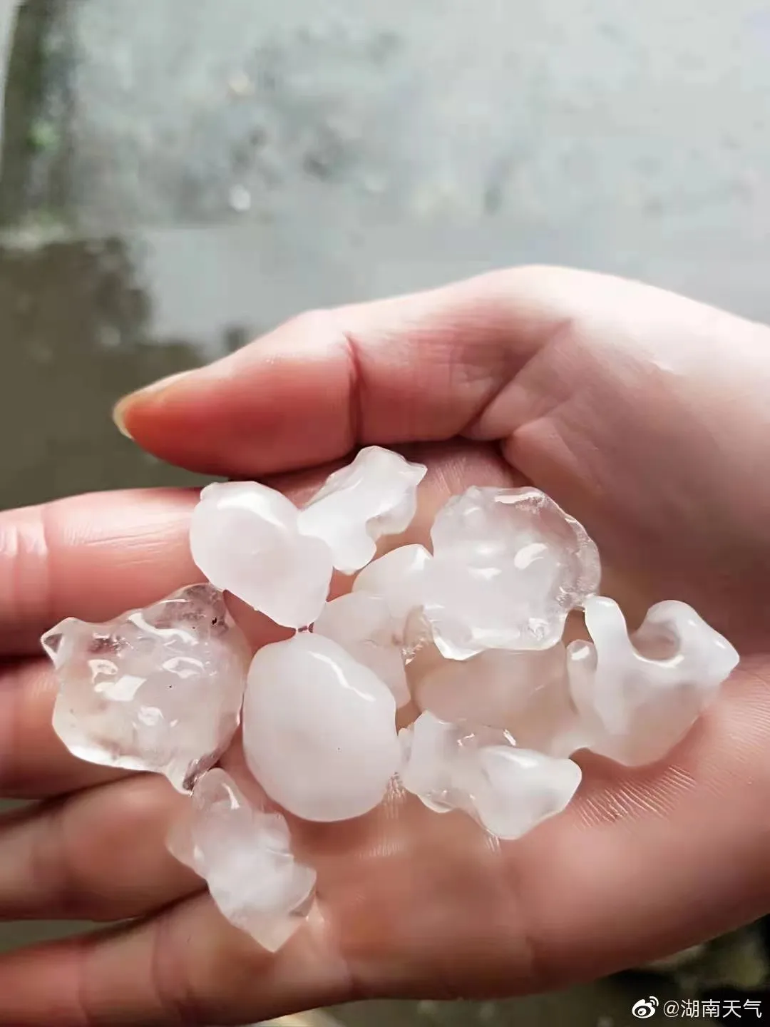 芒果都市 刚刚传来！长沙也要下冰雹了！