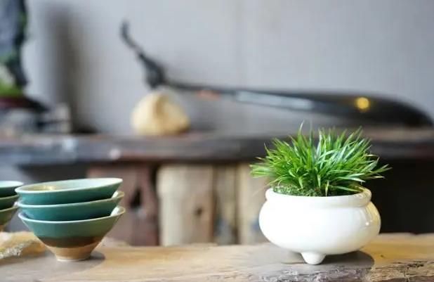 中老年人|体面的中老年人，都具有“抠门”的特质