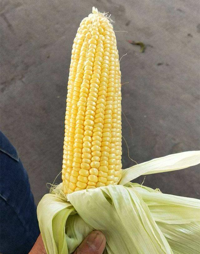 连衣裙 冬天女人减肥,6种粗粮代替主食,每天换花样吃,身材苗条气色好