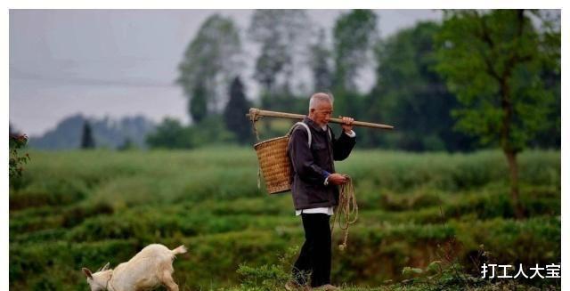 辽宁一位六旬老人帮邻居卸货时被砸导致残疾,法院:邻居无责