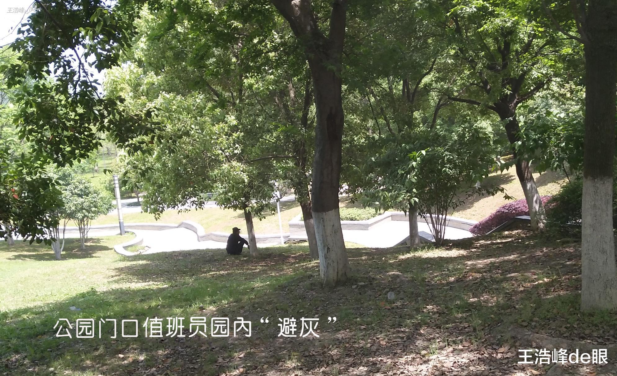 王浩峰de眼 武汉公园门口灰尘冲天 五一游客怎么游