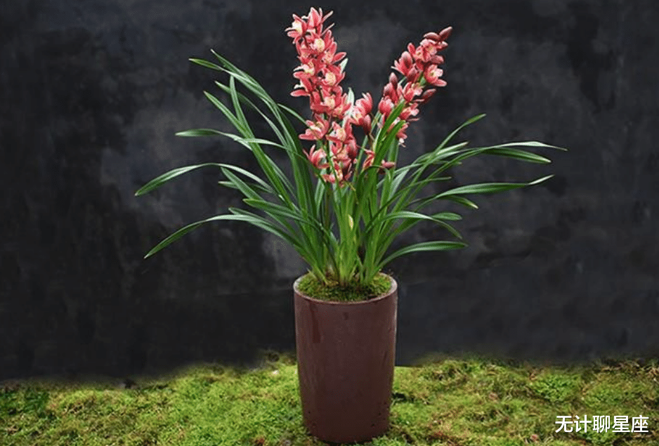 高峰|下周，积极进取、足够耀眼的4个星座，抓住机会，攀向高峰