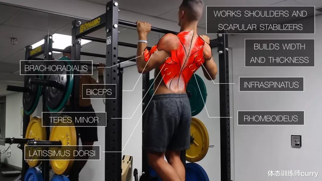 哑铃|一套最全面高效的「上半身」训练，胸背肩臂都能练到！