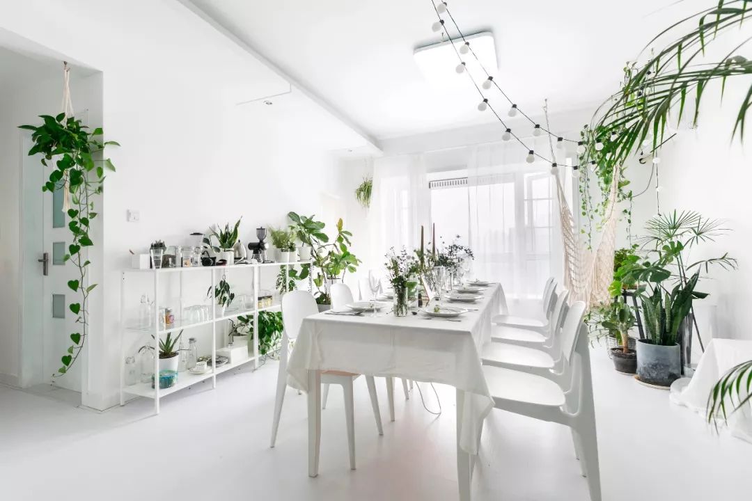 八老师给力设计：森系风格室内装修合集，清新绿植点缀新家！