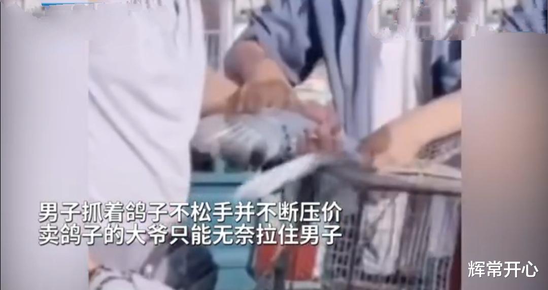浙江省|山东一老人集市上卖鸽子，遇一男子强行压价到8元，老人不卖险些被推倒
