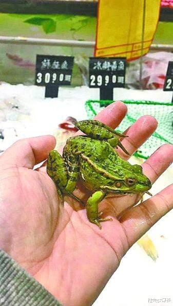 社会参谋长 美国姑娘到中国旅行，游玩两天后懵了: 你们管这个叫“超市”？