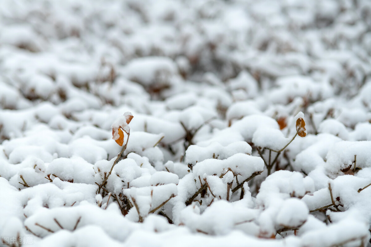 小米粥|肾友注意！在冬天，这些行为不注意会加重肾病，一定要重视