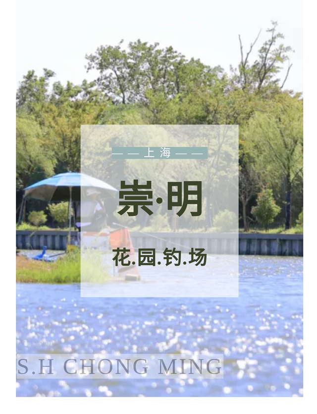 饵料|听说这个钓场不允许空军