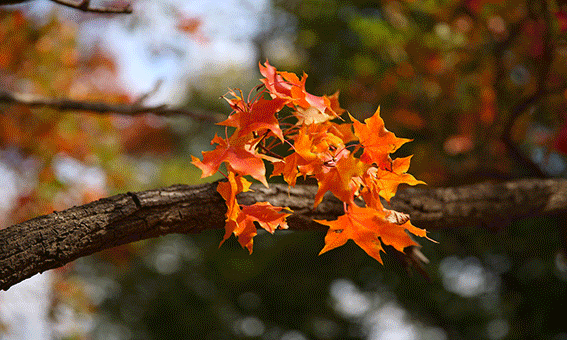 仲念念|一个女人的命好不好，看性格就知道了，第三种很容易命苦