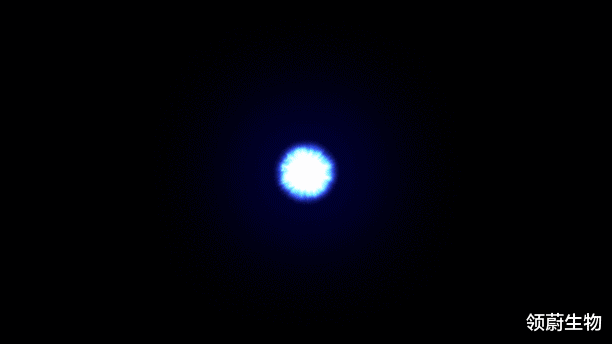  怎样才能提高间充质干细胞移植后的有效率