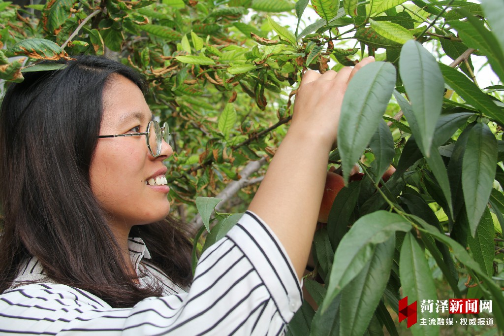 牡丹晚报 郓城县南赵楼乡甄庄村强组织促振兴侧记