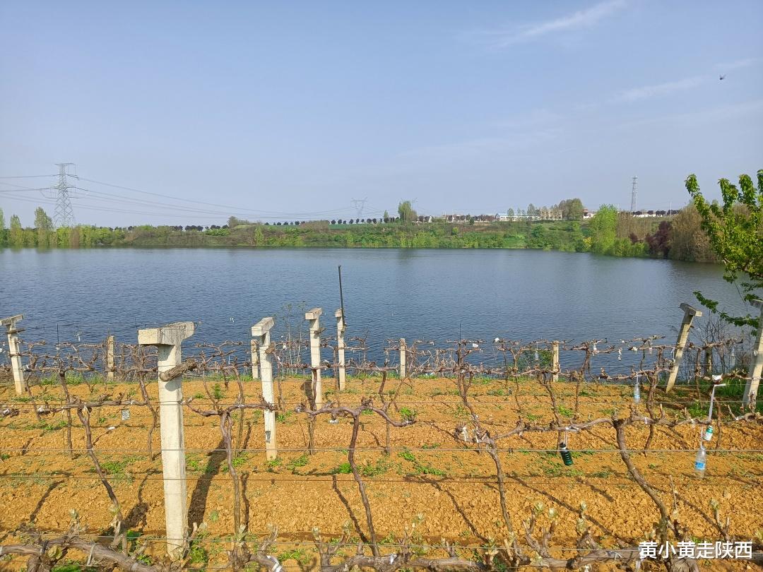 金鱼|假期不想人挤人？西安秦岭脚下小山村，赏山水、钓鱼、野餐很惬意