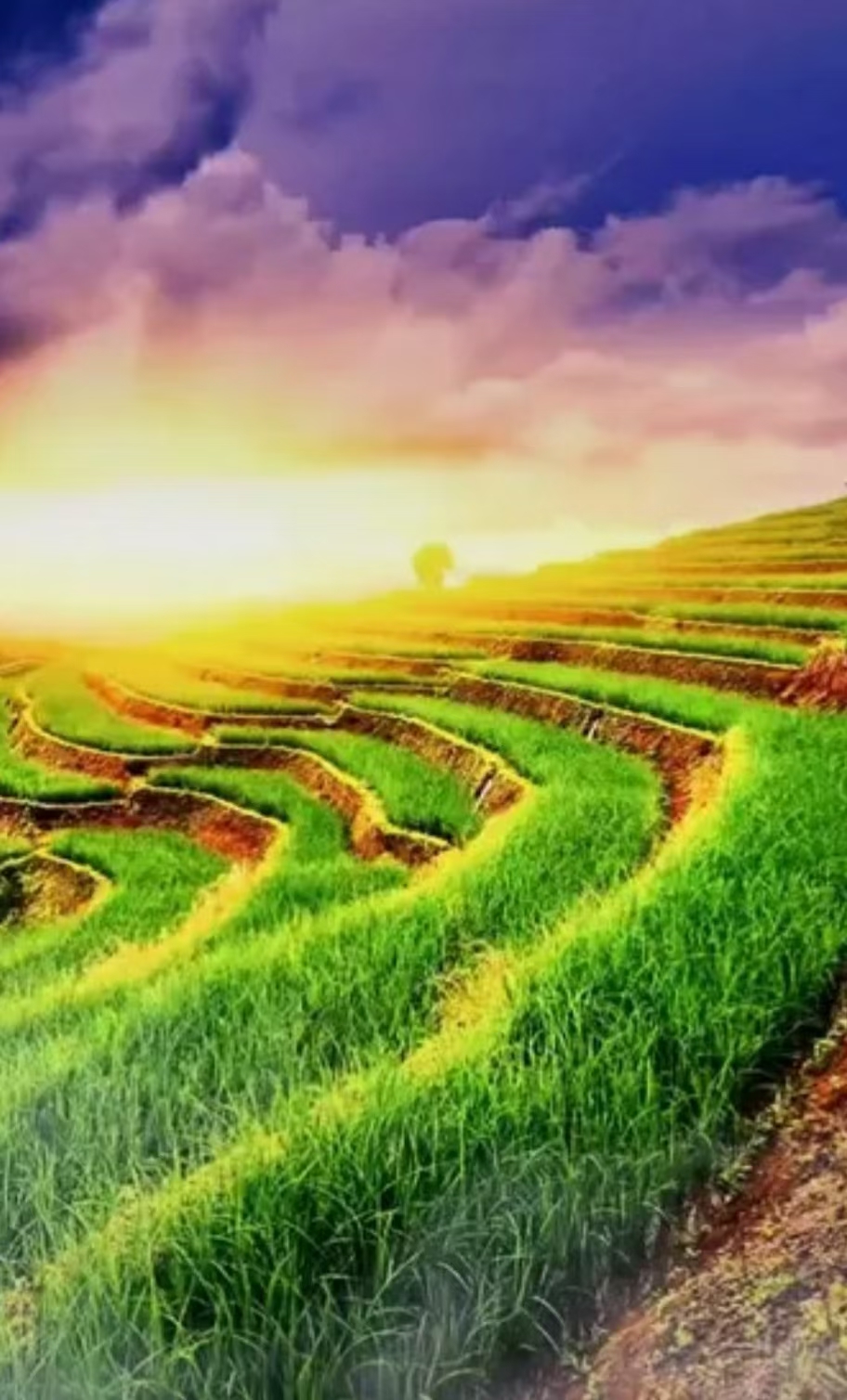 交易 期货市场上有没有100%的确定性机会？