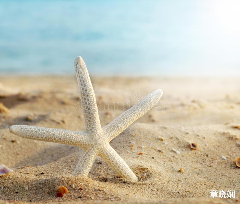 章晓娴|49岁女人和小16岁男人发生婚外情后的感受: 他不吃亏，我也满足