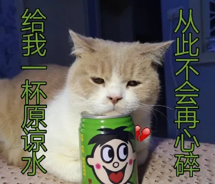 贵阳|贵阳楼市的“狼”回来了？